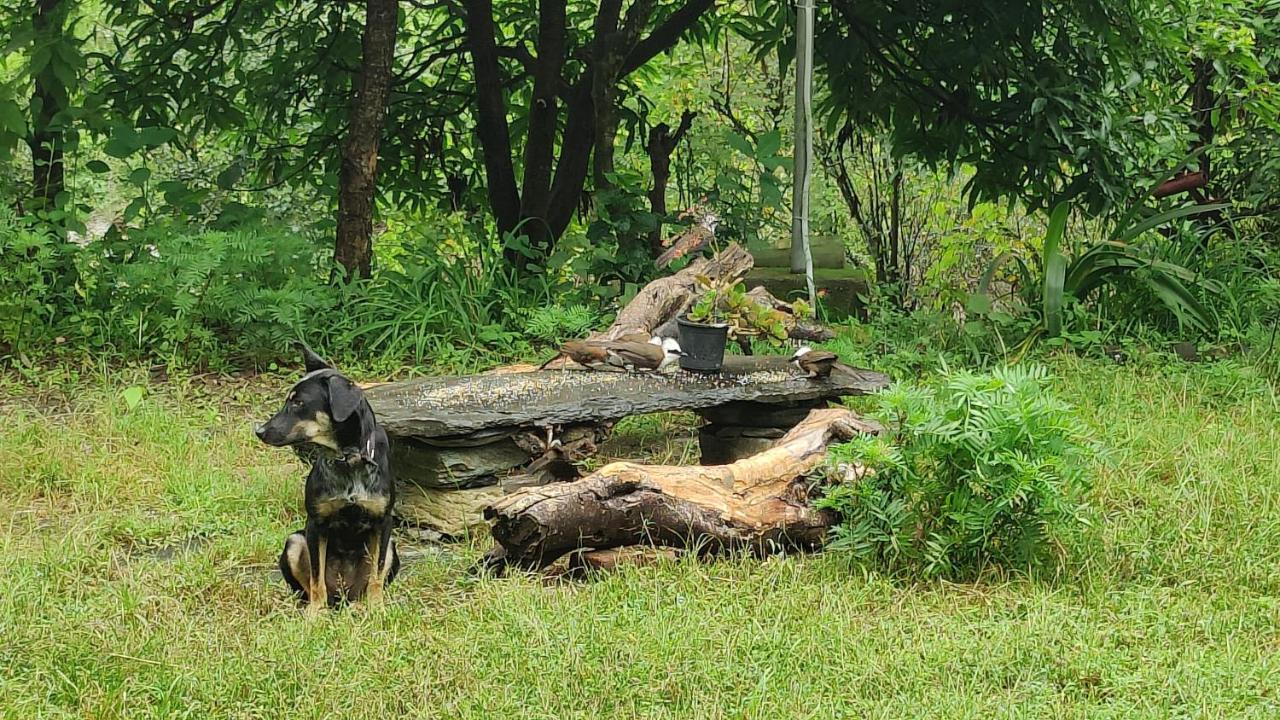 Hobo Huts By The Riverside Panuānaula Kültér fotó