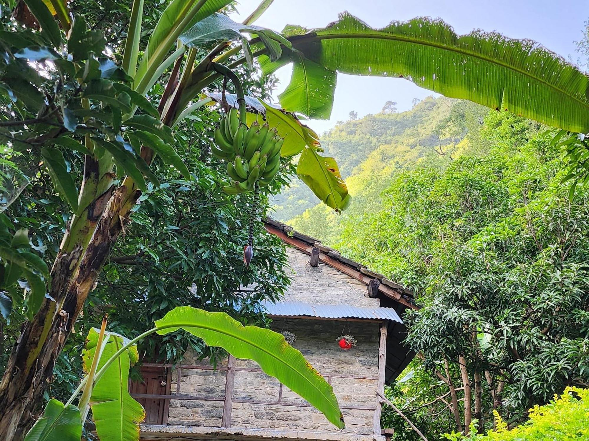 Hobo Huts By The Riverside Panuānaula Kültér fotó